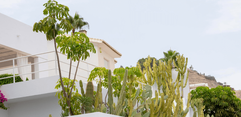 Desert Style Landscaping Done On A Villa