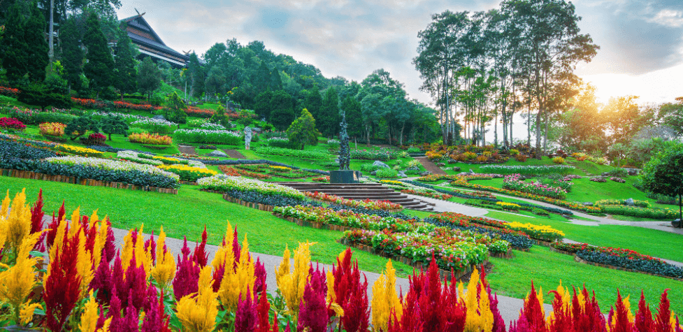 garden design company